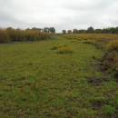 ryb. Bezděkov, 21.10.2016, foto Vojtěch Kodet