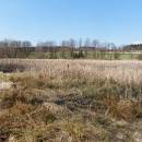 Nový rybník u Nové Vsi, 19.4.2015, foto Vojtěch Kodet
