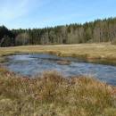 Mokřady Nad Chvojnovem, 3.3.2017, foto Vojtěch Kodet