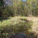 Hulišťata, 27.4.2012, foto Vojtěch Kodet