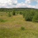 Vílanecká střelnice, 27.6.2011, foto Vojtěch Kodet
