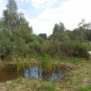 Pístovské mokřady, 7.9.2014, foto Vojtěch Kodet