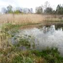 ryb. Dolní Bradlo, 2.5.2015, foto Vojtěch Kodet