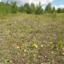 Vílanecká střelnice, 27.6.2011, foto Vojtěch Kodet