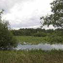 Velký Klátův rybník, 24.6.2010, foto Vojtěch Kodet