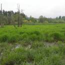 Frejlach, 15.5.2010, foto Vojtěch Kodet