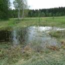 PR Chvojnov - kosení
