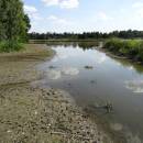 PP Černíč, 5.8.2015, foto Vojtěch Kodet