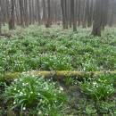 PP Jechovec, 5.4.2012, foto Vojtěch Kodet