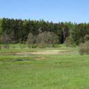 Mokřady Nad Chvojnovem, 7.5.2016, foto Vojtěch Kodet