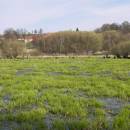 Velký Klátův rybník, 22.4.2010, foto Vojtěch Kodet