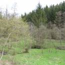 RBC Jestřebnice, 20.4.2016, foto Vojtěch Kodet