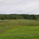 Zdislavický rybník, 21.7.2009, foto Vojtěch Kodet