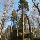 PP Mrhatina, 26.3.2012, foto Vojtěch Kodet
