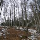 Bučina Čeřínek, 4.3.2012, foto Vojtěch Kodet