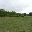 Rašeliniště Pod Trojanem, 29.5.2013, foto Vojtěch Kodet