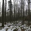 PP Čertův hrádek, 4.3.2012, foto Vojtěch Kodet