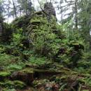 PP Na Skalce, 31.5.2016, foto Vojtěch Kodet