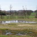 Mokřady Pod Chvojnovem, 5.4.2016, foto Vojtěch Kodet