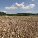 Černý rybník, 24.5.2012, foto Vojtěch Kodet