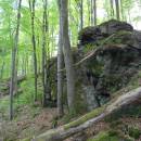 PP Vysoký kámen u Smrčné, 4.5.2012, foto Vojtěch Kodet
