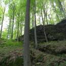PP Vysoký kámen u Smrčné, 4.5.2012, foto Vojtěch Kodet