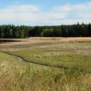 Černý rybník, 13.5.2015, foto Vojtěch Kodet