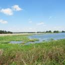 Znětínecký rybník, 18.5.2015, foto Vojtěch Kodet