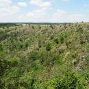 NPR Mohelenská hadcová step, 13.6.2014, foto Vojtěch Kodet