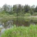 Třeštický rybník, 15.5.2010, foto Vojtěch Kodet