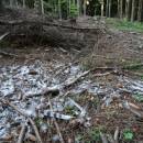 PP Na Skalce, 4.7.2016, foto Vojtěch Kodet