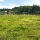 Pilný rybník, 31.7.2012, foto Vojtěch Kodet