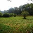 Rašeliniště Pod Trojanem, 28.8.2013, foto Vojtěch Kodet