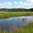Mokřady Nad Chvojnovem [JI]
