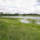 Nový ryb., PP Ptáčovské rybníky, 1.6.2009, foto Vojtěch Kodet