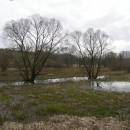 Borský rybník, 3.4.2008, foto Vojtěch Kodet