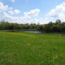 PR Vílanecké rašeliniště, 6.5.2016, foto Vojtěch Kodet