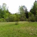 Rašeliniště Pod Trojanem, 15.5.2015, foto Vojtěch Kodet