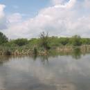 ryb. Nový u Háje, 10.5.2010, foto Vojtěch Kodet