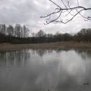 Borský rybník, 3.4.2008, foto Vojtěch Kodet