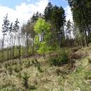 RBC Jestřebnice, 20.4.2016, foto Vojtěch Kodet