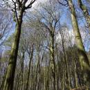 Spálava, 19.4.2016, foto Vojtěch Kodet