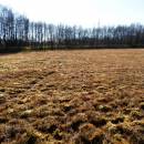 PR Rašeliniště Kaliště, 31.10.2013, foto Vojtěch Kodet