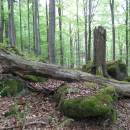 PP Vysoký kámen u Smrčné, 4.5.2012, foto Vojtěch Kodet