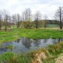 Jankovský potok - Polánky [JI]