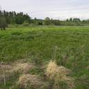 Frejlach, 8.5.2009, foto Vojtěch Kodet
