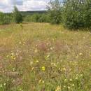 Vílanecká střelnice, 27.6.2011, foto Vojtěch Kodet