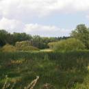 Borský rybník, 23.9.2009, foto Vojtěch Kodet