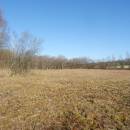 PR Rašeliniště Kaliště, 31.10.2013, foto Vojtěch Kodet