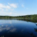 PP Velký Pařezitý rybník, 15.8.2013, foto Vojtěch Kodet